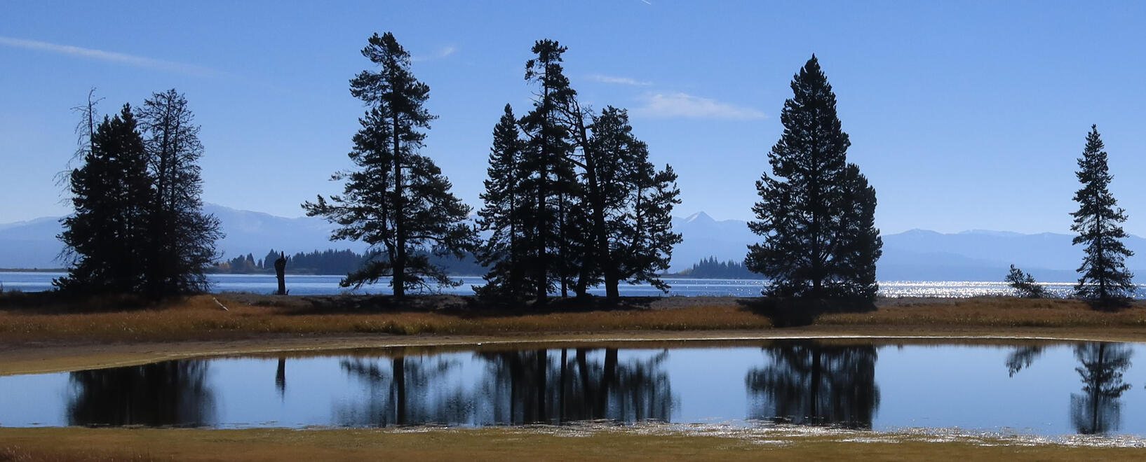 Gull Point on Yellowstone Lake A small, reflective pond is surrounded by tall pine trees and grasslands under a clear blue sky. In the background, sunshine glints on a large body of water with distant mountains on the horizon.